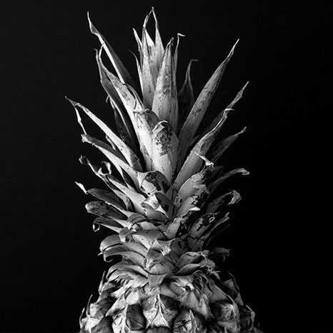 03-nutricion